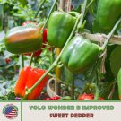 20 Yolo Wonder Improved B Sweet Pepper Seeds Non Gmo Heirloom Genuine Usa Garden Fresh