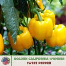 20 Golden California Wonder Sweet Pepper Seeds Non Gmo Heirloom Genuine Usa Garden Fresh
