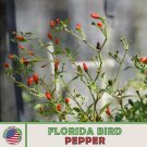 40 Florida Bird Pepper Seeds Chile Pequin Heirloom Non Gmo Genuine Usa Garden Fresh