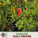 50 Tabasco Chili Pepper Seeds Heirloom Non Gmo Genuine Usa Garden Fresh