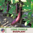 200 Chinese Long Purple Eggplant Heirloom Non Gmo Genuine Usa Garden Fresh