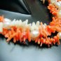 Corel & Pearls