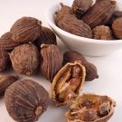 Cardamom Black 10 Seeds Heirloom Spice Bold & Intense Flavor Non Gmo Fresh Garden
