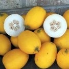 Mango Seeds (Vine Peach) 25 Seeds Fresh Garden