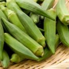 300 Seeds Clemson Spineless Green Okra Abelmoscgus Esculentus Vegetable Fresh Garden