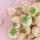 Everbearing White Strawberry Seeds 250+ Seeds White Pineberry Seeds Fresh Garden