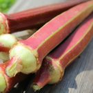 Abelmoschus Esculentus Jing Orange Okra Delicious And Very Ornamental Seeds Fresh Garden