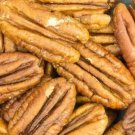 5 Seeds Hardy Pecan Tree Carya Illinoinensis King Nut Native Fruit Tree Fresh Garden
