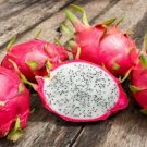 40 Seeds White Dragon Fruit (Pitaya / Strawberry Pear) Hylocereus Undatus Cactus Fresh Garden