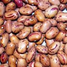 Vermont Cranberry Bean 50 Seeds Heirloom/Sweet Flavor Fresh Garden