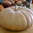 Long Island Cheese Pumpkin 20 Seeds Fresh Garden