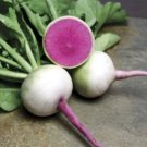 Watermelon Radish Seeds 300 Seeds Fresh Garden