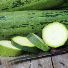 Cocozelle Zucchini Bush Squash 15 Seeds Fresh Garden