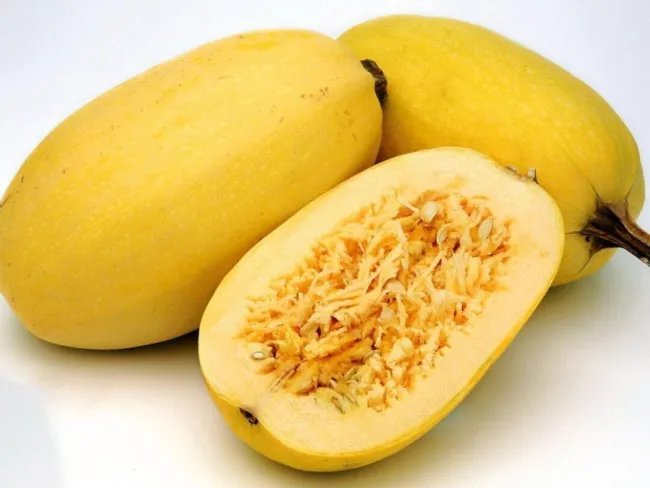 Hasta La Pasta Spaghetti Squash 8 Seeds Sweet Fresh Garden