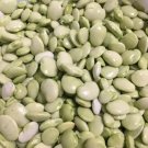 Fordhook 242 Lima Bean 20 Seeds Fresh Garden