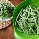 Kentucky Wonder Green Bean 30 Seeds (Pole) Heirloom Climbing Runner Beans Fresh Garden