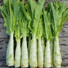 Celtuce 500 Seeds (Asian Stem Lettuce) Summer 38 Slow Bolting Taiwanese Celery Fresh Garden