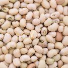 Texas Cream 8 Pea Cowpea 50 Seeds Southern Field Pea Crowder Non Gmo Fresh Garden
