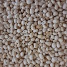 Texas Cream 40 Pea Cowpea 50 Seeds Southern Field Cow Pea Crowder Non Gmo Fresh Garden