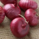 Ruby Red Onion 200 Seeds Sweet Long Day Onions Non Gmo Open Pollinated Fresh Garden