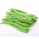 Tenderette Green Bean 30 Seeds Nongmo Heirloom Stringless Beans Fresh Garden