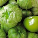 Grande Rio Verde Tomatillo 200 Seeds Green Mexican Husk Tomato Fresh Garden