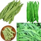 Lu Qing Romano Pole Bean 30+ Seeds Non Gmo Stringless Light Green Flat Beans Fresh Garden