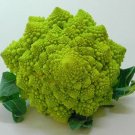Romanesco Cauliflower 200 Seeds Brassica Italian Roman Broccoli Fresh Garden