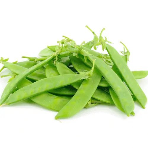 Dwarf Grey Sugar Pod Snow Pea 50 Seeds Pisum Sativum Fresh Garden