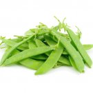 Dwarf Grey Sugar Pod Snow Pea 50 Seeds Pisum Sativum Fresh Garden