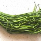 You Fong Wong Yard Long Bean 30+ Seeds Fresh Garden