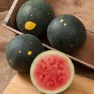 Moon And Stars Red Watermelon 20 Seeds Fresh Garden
