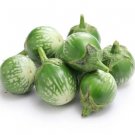 Petch Siam Thai Eggplant 200 Seeds Small Green Brinjal Baby Round Egg Fresh Garden