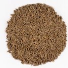Cumin Seeds Heirloom Spice (Cuminum Cyminum) 100 Seeds Fresh Garden