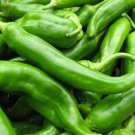 Pepper Anaheim Chili Seeds Heirloom Vegetable (Capsicum Annuum) 25 Seeds Fresh Garden