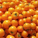 150 Golden Jubilee Tomato Yellow Lycopersicon Lycopersicum Fruit Vegetable Seeds Fresh Garden