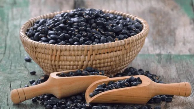 50 Black Bean (Black Turtle Bush Bean) Phaseolus Vulgaris Vegetable Seeds Fresh Garden