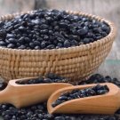 50 Black Bean (Black Turtle Bush Bean) Phaseolus Vulgaris Vegetable Seeds Fresh Garden