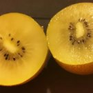 50 Seeds Golden Kiwi Fruit Yellow Actinidia Chinensis Flower Vine Fresh Garden