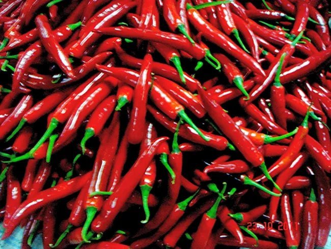 Pepper Cayenne (Long Slim) Seeds Heirloom Vegetable (Capsicum Annuum)30 Seeds Fresh Garden
