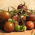 Black Cherry Tomato (Solanum Lycopersicum) 20 Seeds Fresh Garden