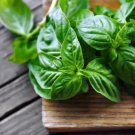 Basil Licorice 250 Seeds Heirloom Culinary & Medicinal Herb Fresh Garden