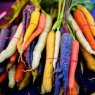 500 Seeds Rainbow Carrot Mix White Red Yellow Purple Orange Daucus Carrota Fresh Garden