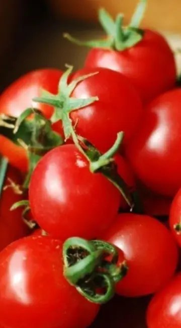 Large Red Cherry Tomato Heirloom Seeds 30 Seeds Fresh Garden