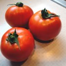 500 Beefsteak Tomato Lycopersicon Lycopersicum Fruit Vegetable Seeds Fresh Garden