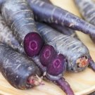 Cosmic Purple Carrot Heirloom Seeds 400 Seeds Fresh Garden