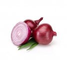 Onion Red Burgundy Seeds Heirloom Vegetable (Allium Cepa) 100 Seeds Fresh Garden