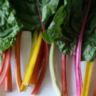 Rainbow Swiss Chard Heirloom Seeds 100 Seeds Fresh Garden