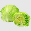 Heirloom Iceberg Lettuce 500 Seeds Fresh Garden