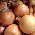 Onion Spanish Yellow Sweet Heirloom Seeds (Allium Cepa) 200 Seeds Fresh Garden